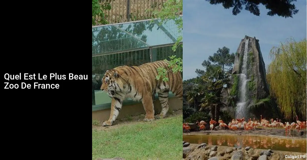 quel est le plus beau zoo de france en 2023