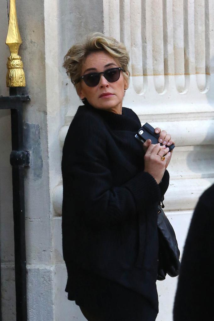 Vie privée de Sharon Stone : un chapitre distinct