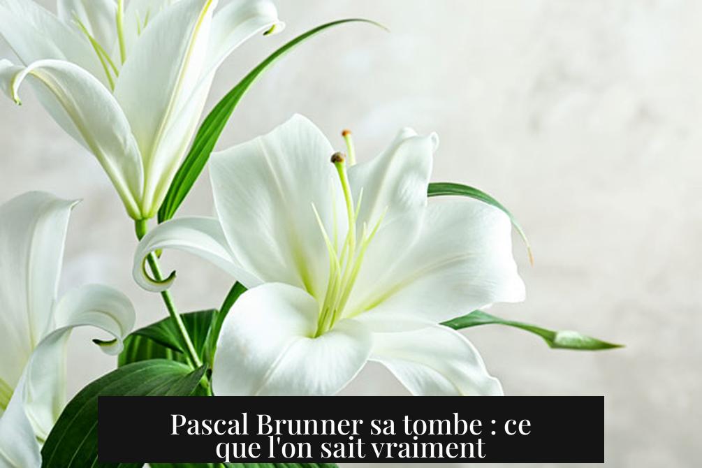 Pascal Brunner sa tombe : ce que l'on sait vraiment