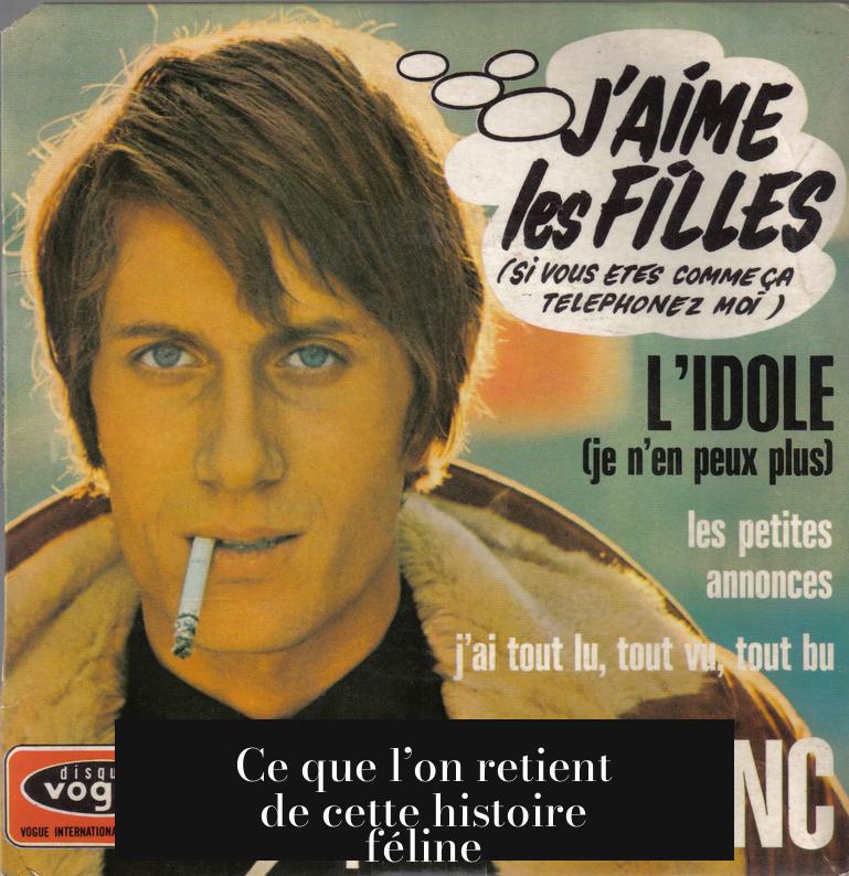 Ce que l’on retient de cette histoire féline
