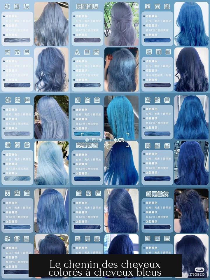 Le chemin des cheveux colorés à cheveux bleus