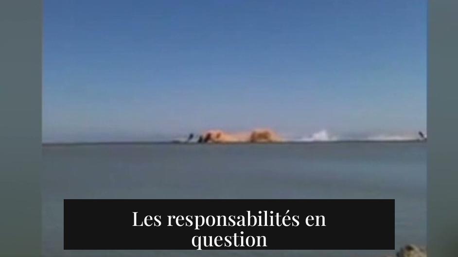 Les responsabilités en question
