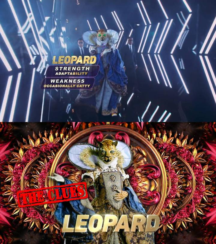 Qu’en pensent les enquêteurs et le jury de Mask Singer ?