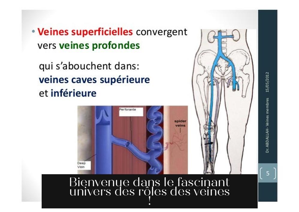 Bienvenue dans le fascinant univers des rôles des veines !