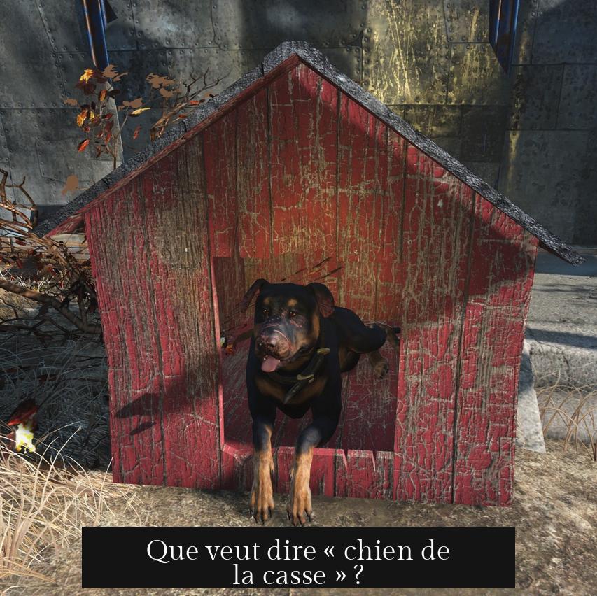 Que veut dire « chien de la casse » ?