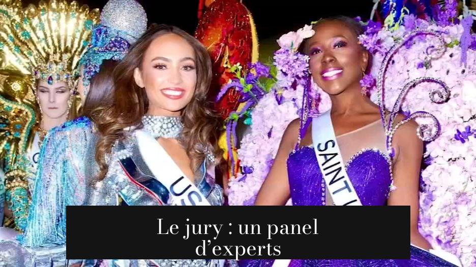 Le jury : un panel d’experts
