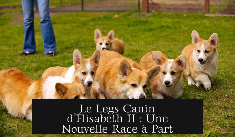 Le Legs Canin d’Élisabeth II : Une Nouvelle Race à Part
