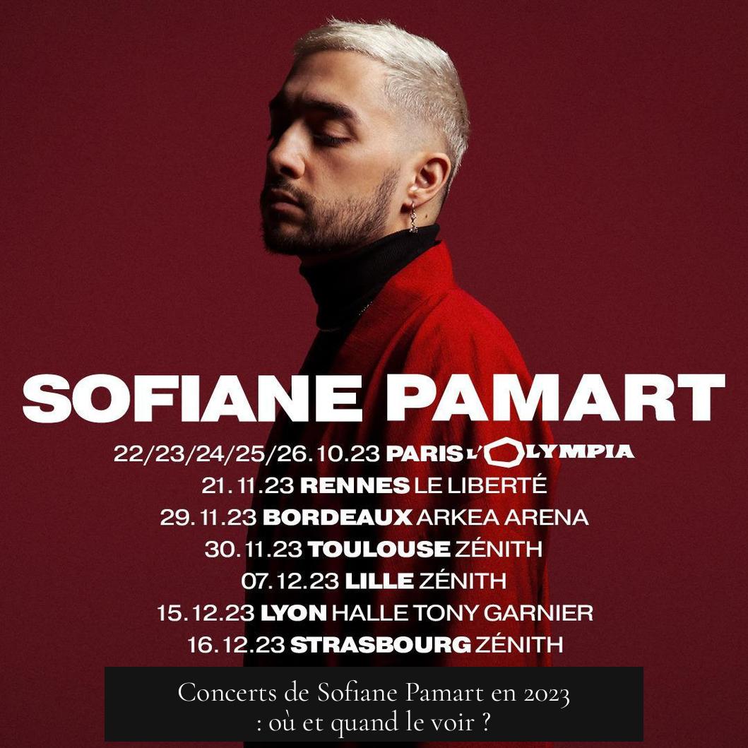 Concerts de Sofiane Pamart en 2023 : où et quand le voir ?