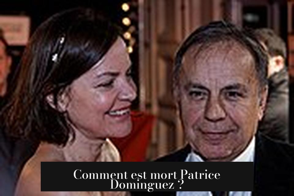 Comment est mort Patrice Dominguez ?