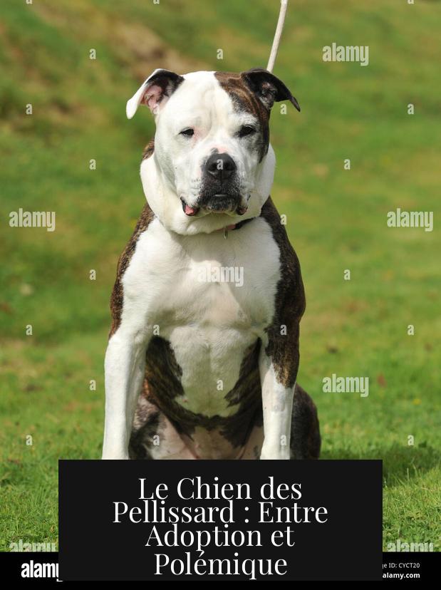 Le Chien des Pellissard : Entre Adoption et Polémique