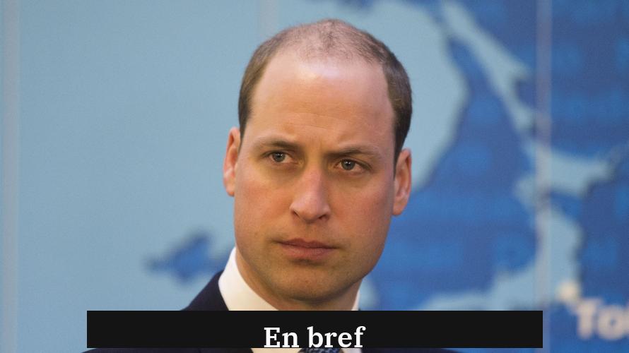 En bref