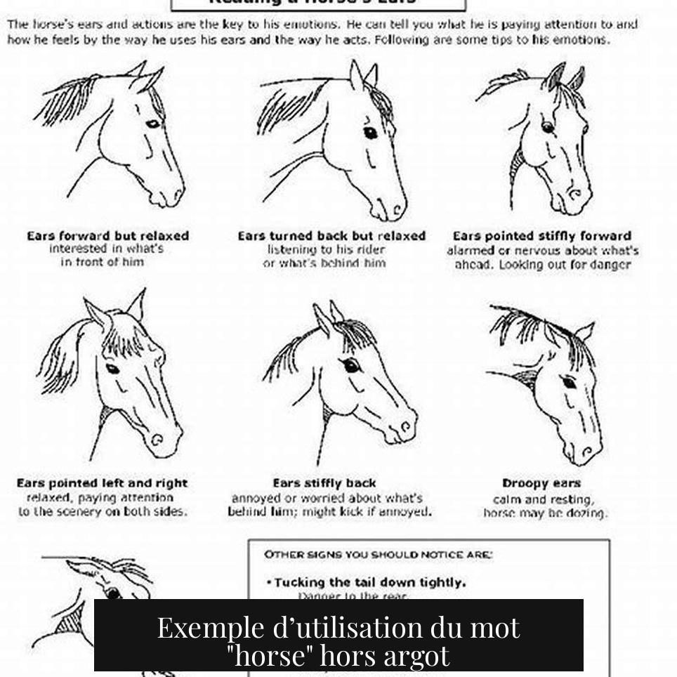 Exemple d’utilisation du mot "horse" hors argot