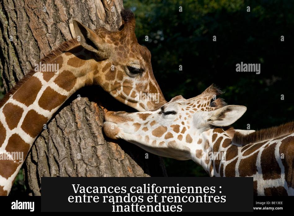 Vacances californiennes : entre randos et rencontres inattendues