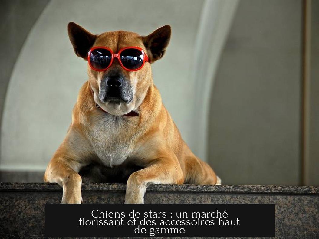 Chiens de stars : un marché florissant et des accessoires haut de gamme