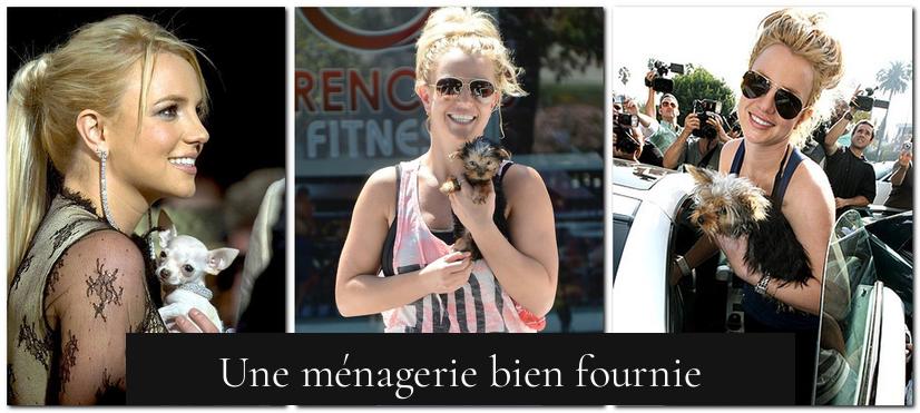 Une ménagerie bien fournie