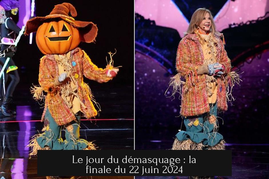 Le jour du démasquage : la finale du 22 juin 2024