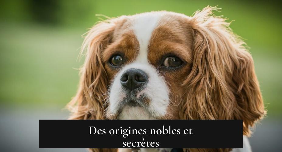 Des origines nobles et secrètes