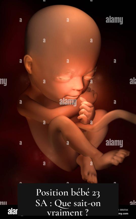 Position bébé 23 SA : Que sait-on vraiment ?