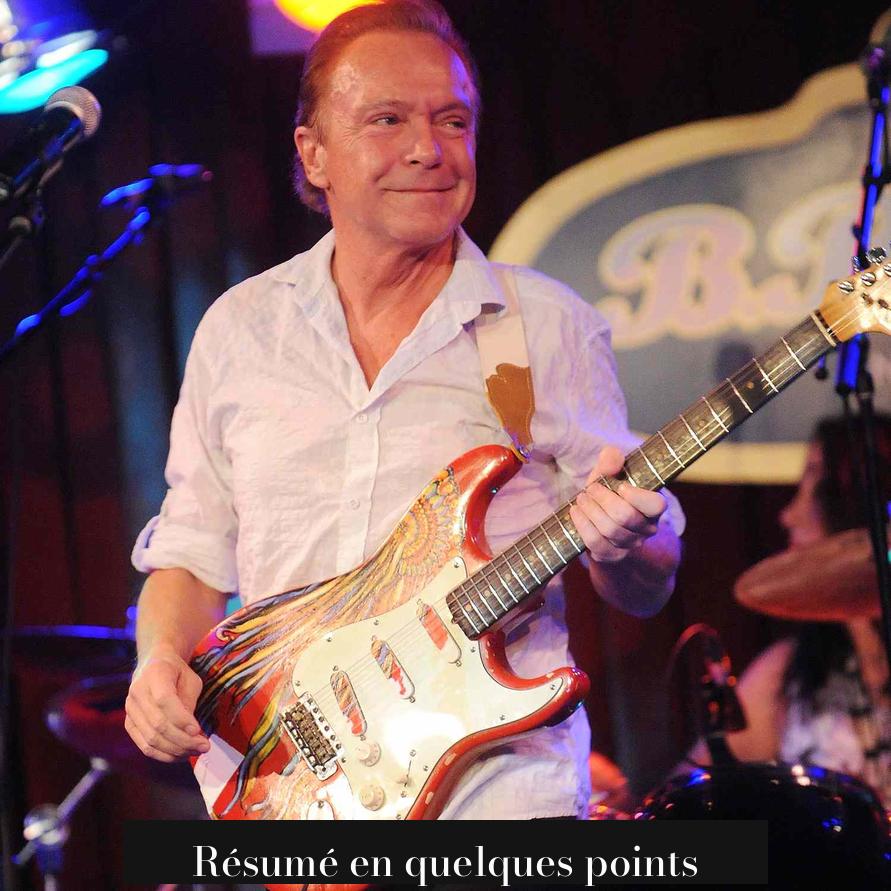 Résumé en quelques points
