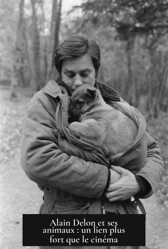 Alain Delon et ses animaux : un lien plus fort que le cinéma