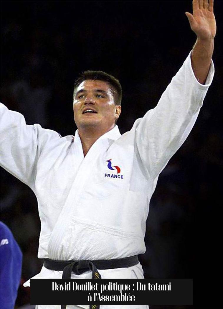 David Douillet politique : Du tatami à l'Assemblée