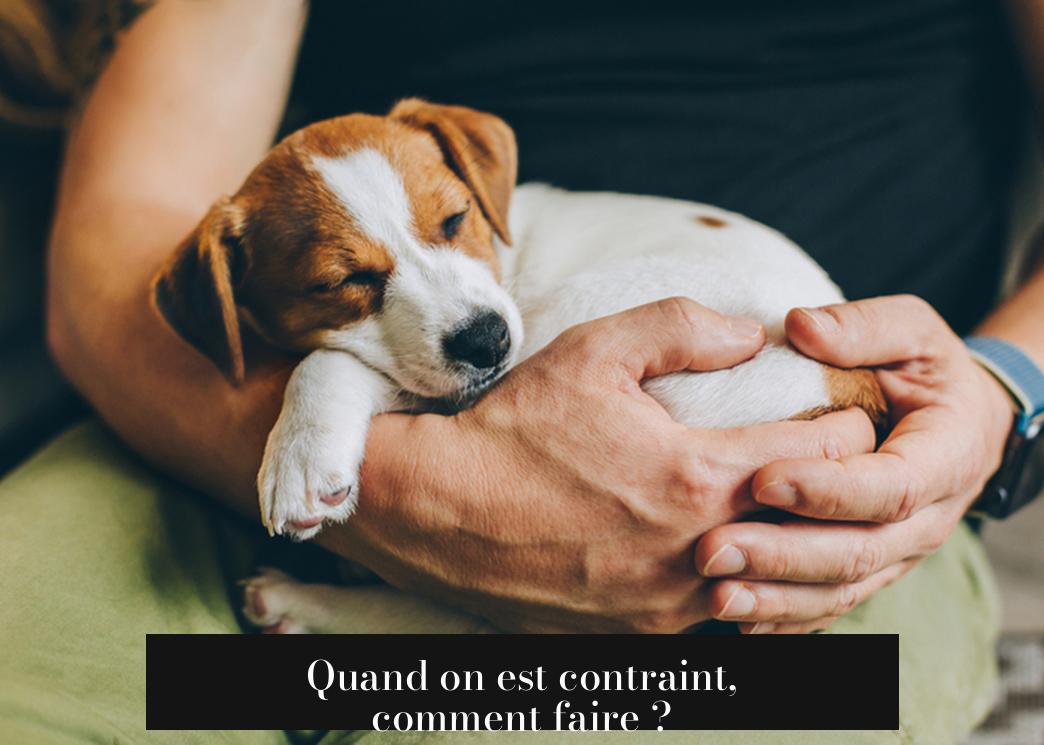 Quand on est contraint, comment faire ?
