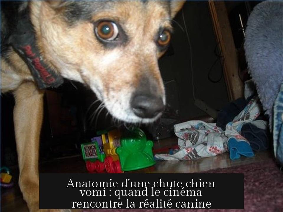 Anatomie d'une chute chien vomi : quand le cinéma rencontre la réalité canine