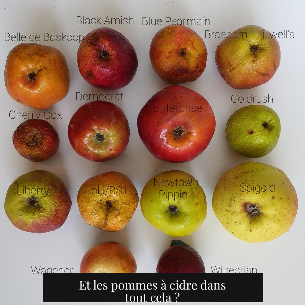 Et les pommes à cidre dans tout cela ?