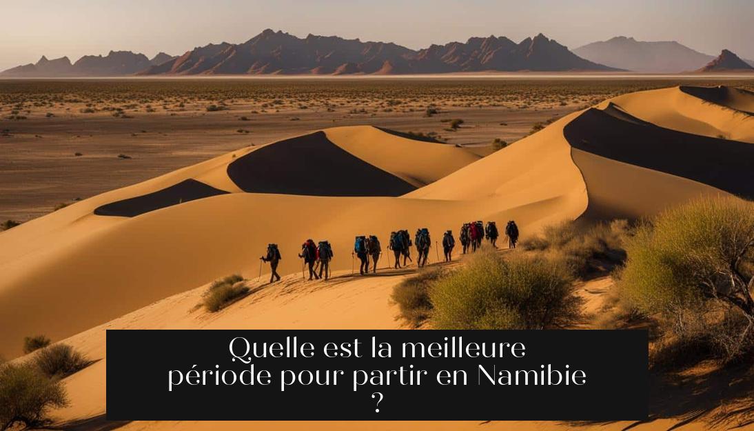 Quelle est la meilleure période pour partir en Namibie ?