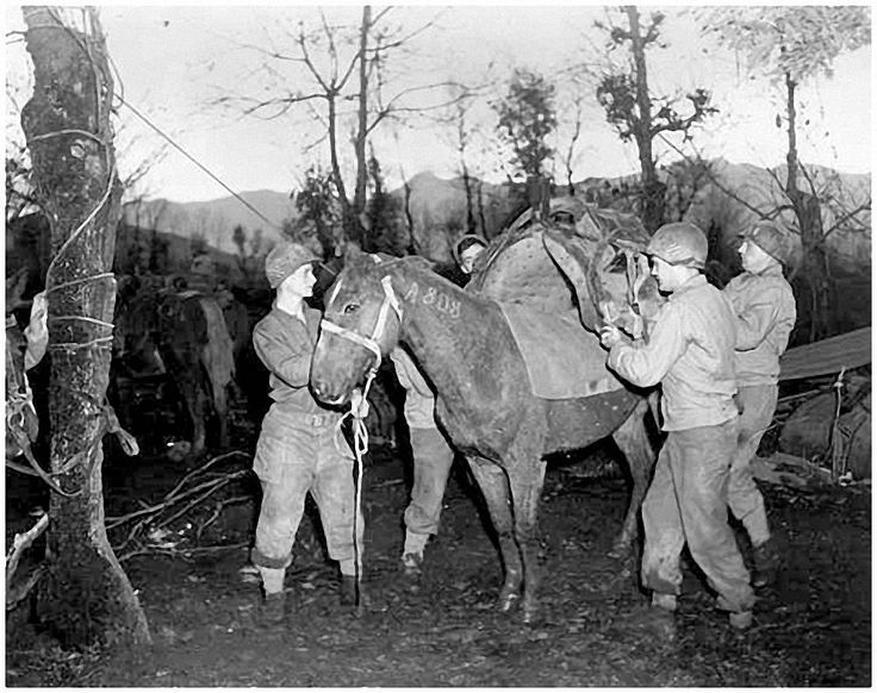 Paul Reynaud est victime d’un grave accident de voiture le 28 juin 1940, où sa compagne Hélène de Portes perd la vie, tandis que lui-même est blessé et hospitalisé.