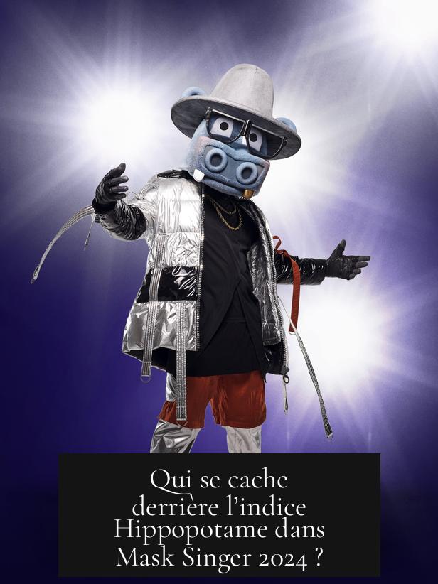 Qui se cache derrière l’indice Hippopotame dans Mask Singer 2024 ?