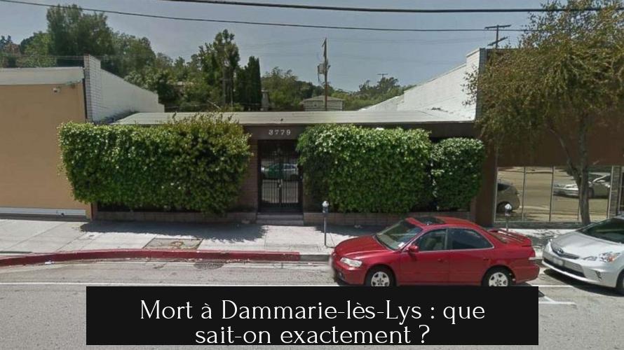 Mort à Dammarie-lès-Lys : que sait-on exactement ?