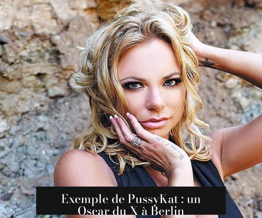 Exemple de PussyKat : un Oscar du X à Berlin