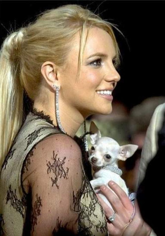 Récemment, la tranquillité de Britney a été troublée. Lors d’une sortie à Los Angeles, elle a été repérée avec son chien blessé à la patte. Bien sûr, elle n’était pas seule.