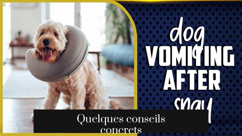 Quelques conseils concrets