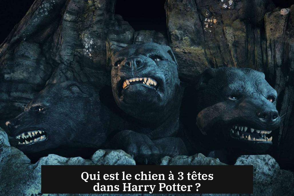 Qui est le chien à 3 têtes dans Harry Potter ?