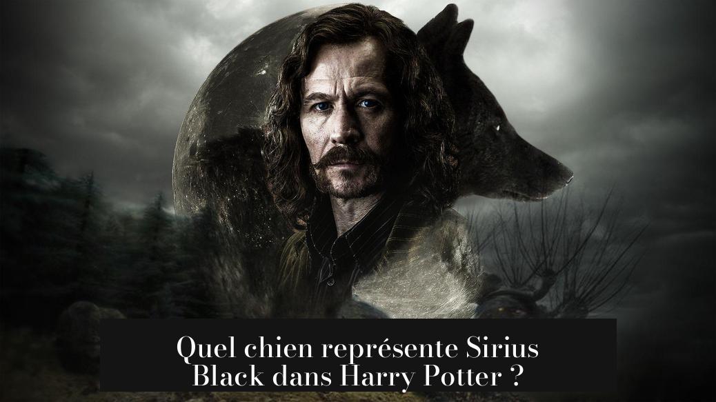 Quel chien représente Sirius Black dans Harry Potter ?