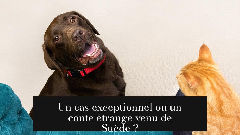 Un cas exceptionnel ou un conte étrange venu de Suède ?