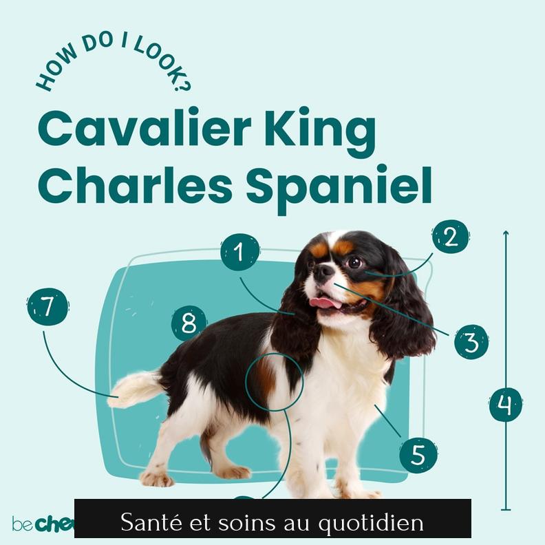 Santé et soins au quotidien