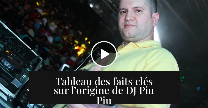 Tableau des faits clés sur l’origine de DJ Piu Piu