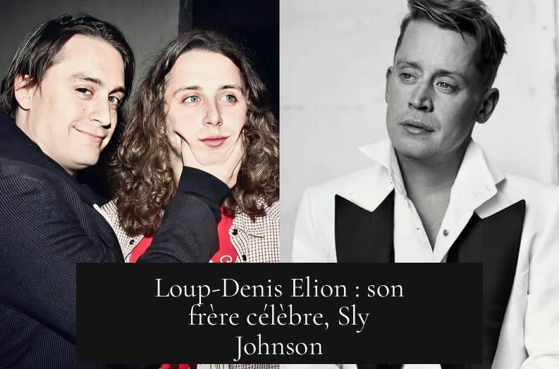 Loup-Denis Elion : son frère célèbre, Sly Johnson