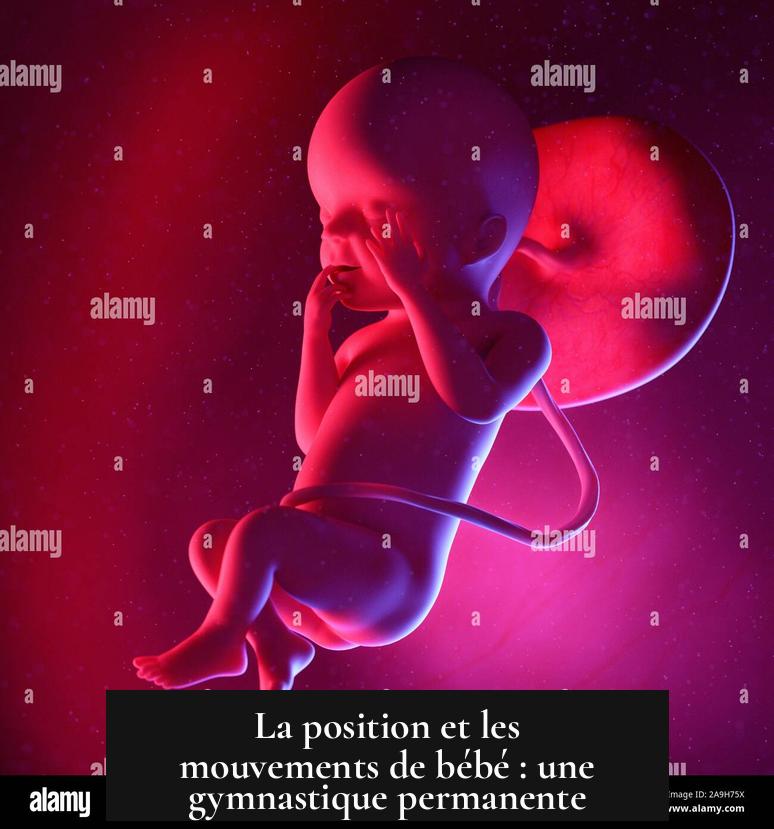 La position et les mouvements de bébé : une gymnastique permanente