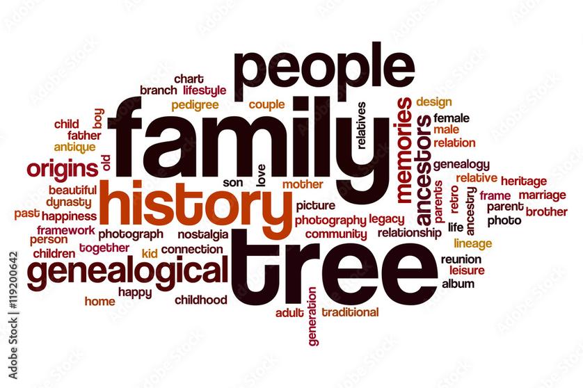 Exploration amusante et complète de la famille du mot terre