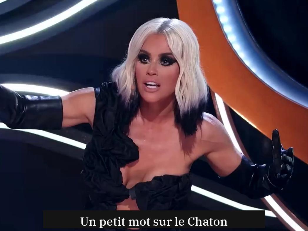 Un petit mot sur le Chaton