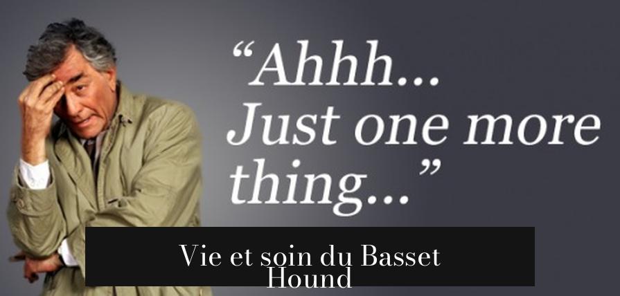 Vie et soin du Basset Hound