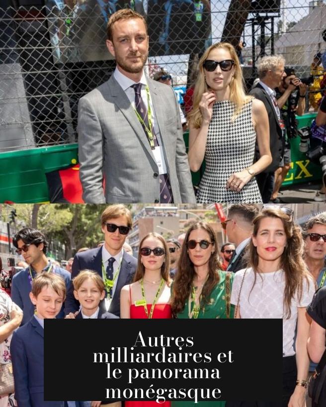 Autres milliardaires et le panorama monégasque