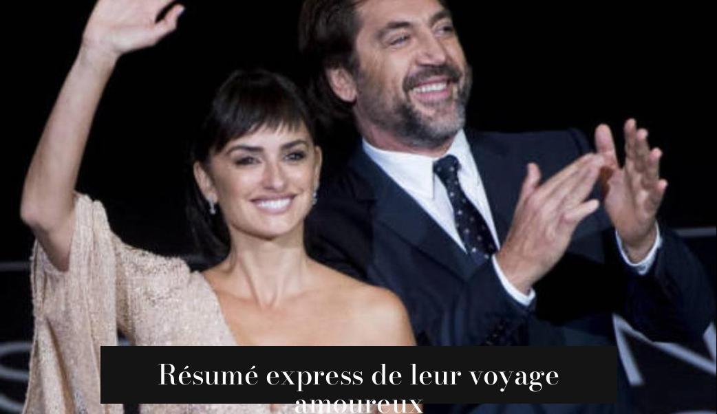 Résumé express de leur voyage amoureux