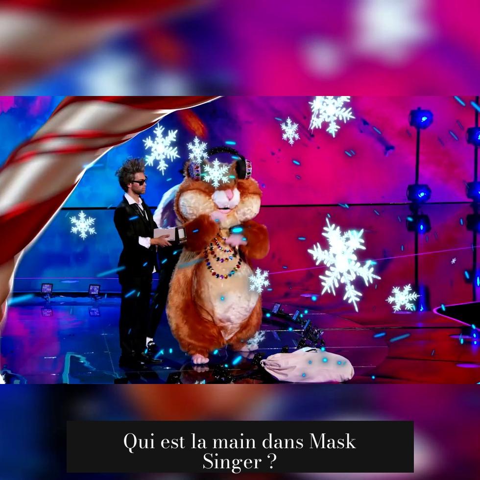 Qui est la main dans Mask Singer ?