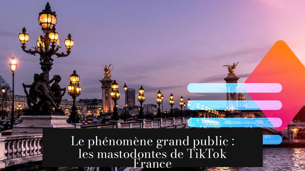 Le phénomène grand public : les mastodontes de TikTok France