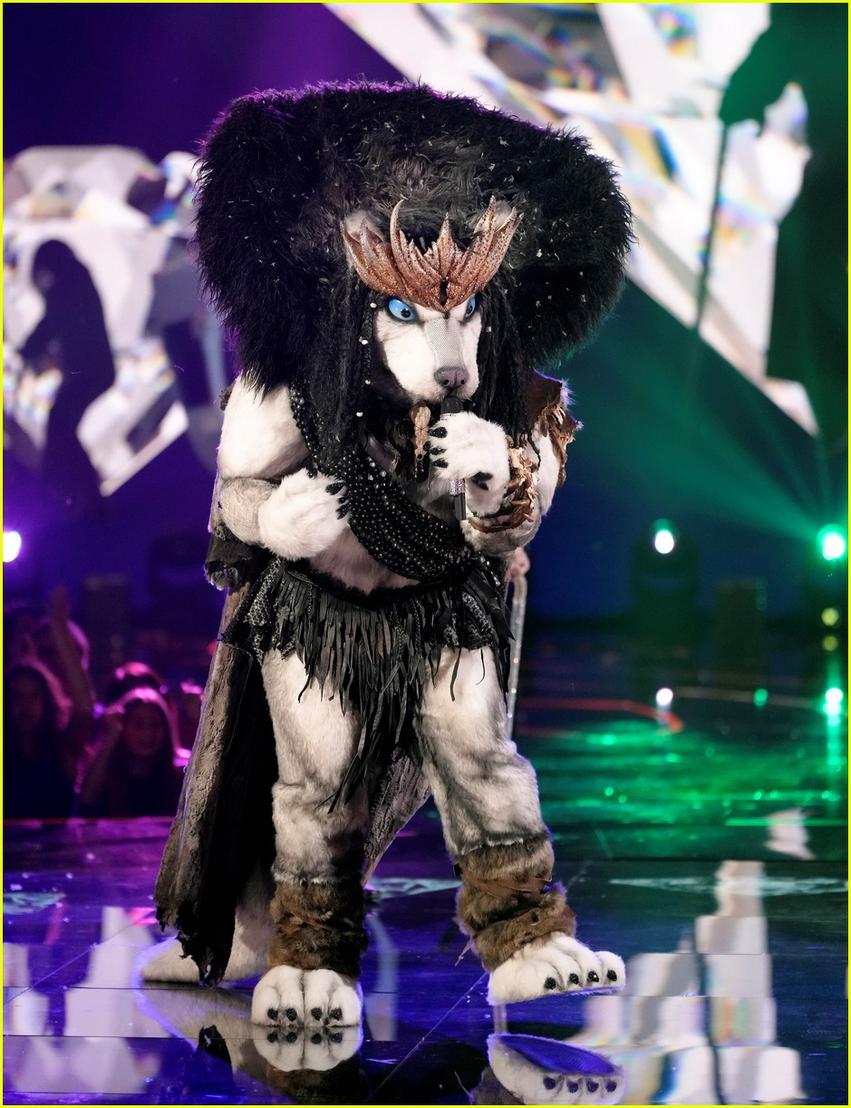 Dès le quatrième prime de la saison 5, le Husky s’impose comme un vrai champion. Sa performance sur « Machistador » de M. fait frissonner le public et lui garantit un ticket d’or pour les quarts de finale. Son interprétation de « Baby One More Time » de Britney Spears en version grave séduit aussi bien le jury que les téléspectateurs. Un costume dynamique, des yeux qui captivent, et une voix... d’or, annoncée dès les premières notes.